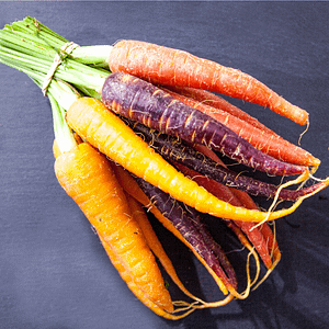 Rainbow Carrot Seeds at Seed Bank Ireland