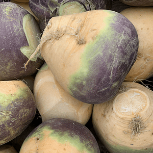 Swede Seeds Ireland