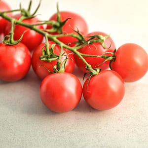 Gardeners Delight Cherry Tomato Seeds Ireland